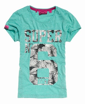 Superdry No. 6 Női Pólók Zöld/Fehér | XCLUZ4091